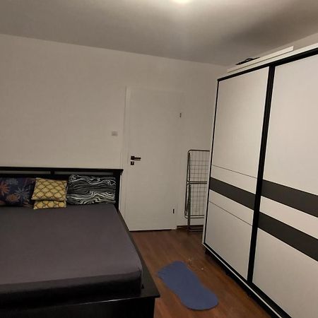 Studio Leo Iasi Exteriér fotografie