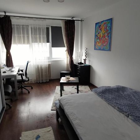 Studio Leo Iasi Exteriér fotografie